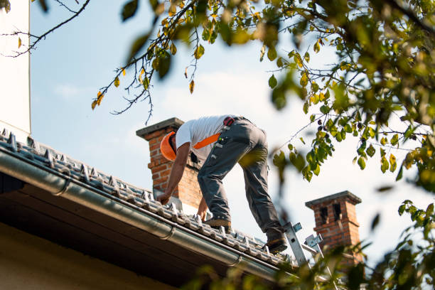Best Flat Roof Repair Services  in Logansport, IN